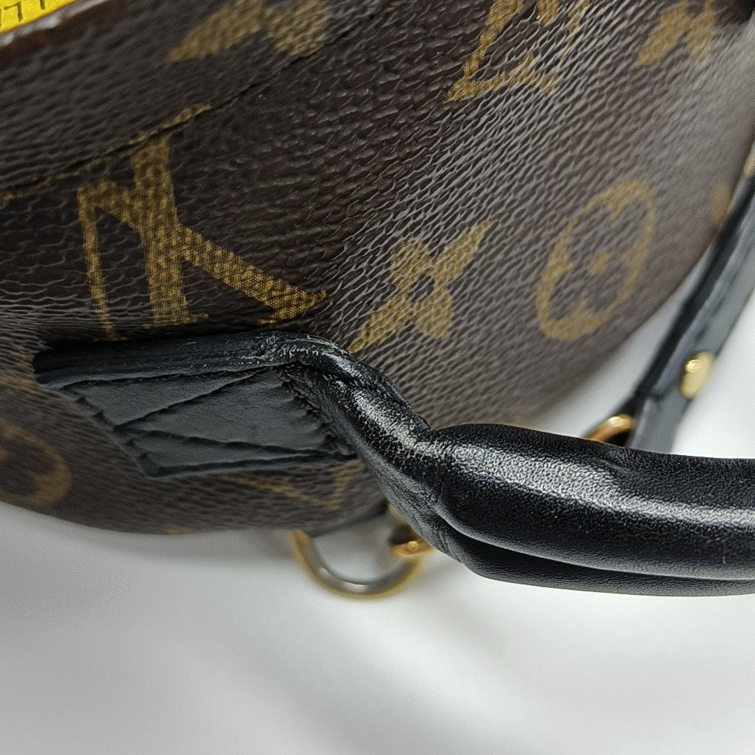 PALM SPRINGS Mini Monogram Coated Canvas Brown