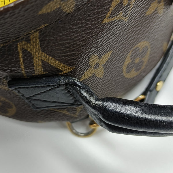 PALM SPRINGS Mini Monogram Coated Canvas Brown