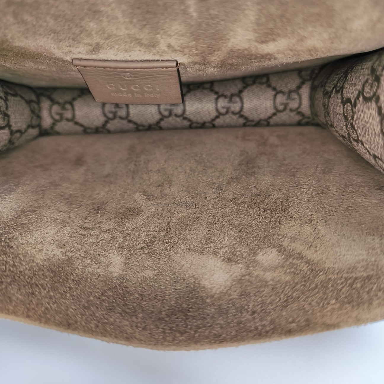 Dionysus Mini Monogram Coated Canvas Beige