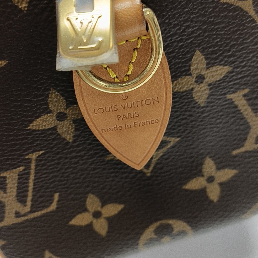 SPEEDY 20 Monogram Coated Canvas Brown