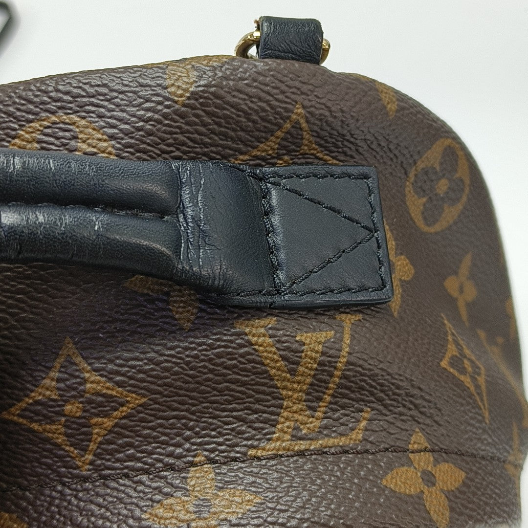 PALM SPRINGS Mini Monogram Coated Canvas Brown