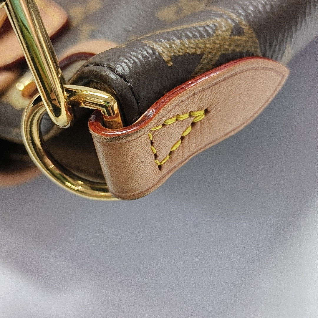 EXCURSION PM Monogram Coated Canvas Brown