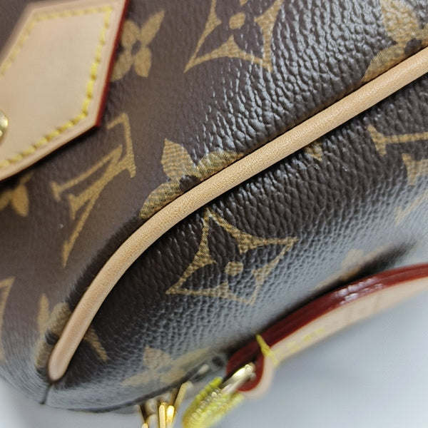 SPEEDY 20 Monogram Coated Canvas Brown