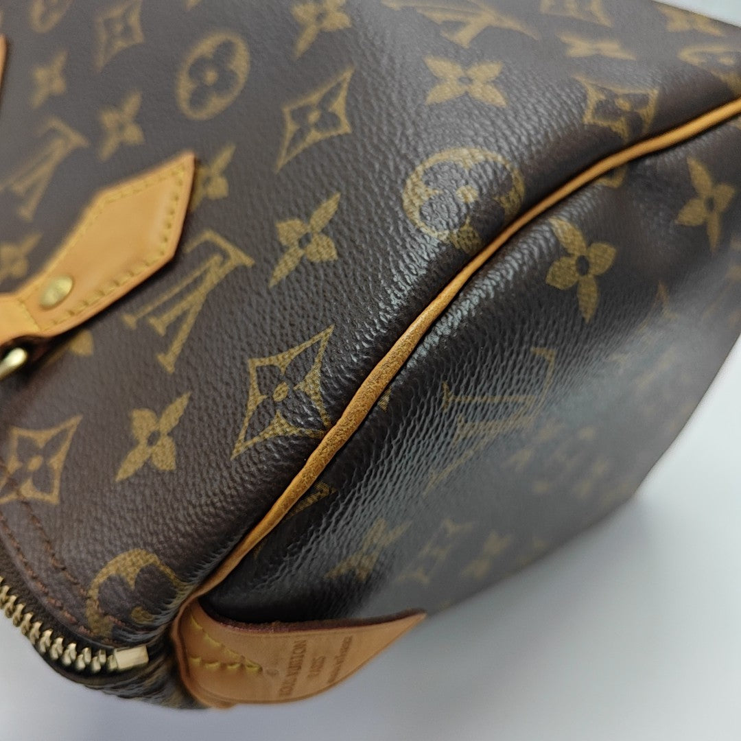 SPEEDY 25 Monogram Coated Canvas Brown