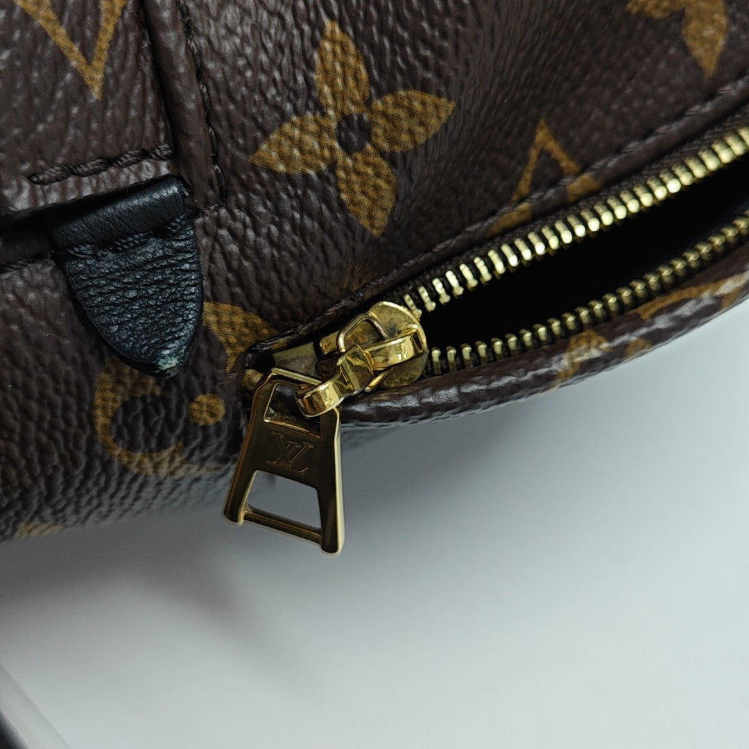 PALM SPRINGS Mini Monogram Coated Canvas Brown