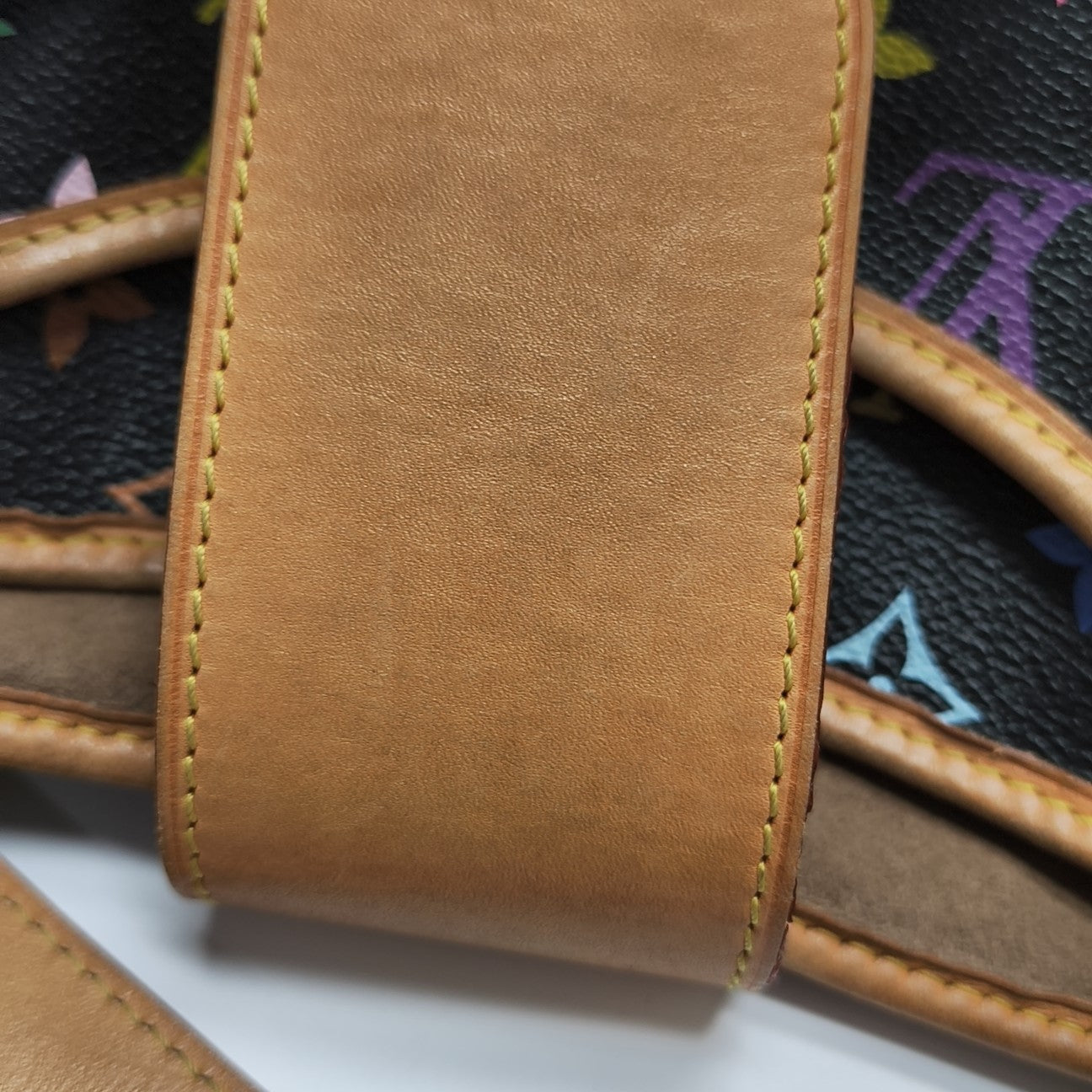 LV × TM ANNIE GM Monogram Coated Canvas Black