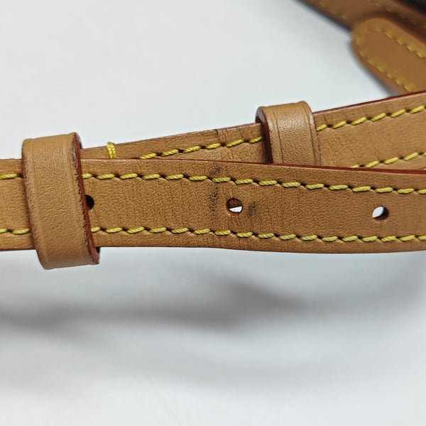 SPEEDY Nano Monogram Coated Canvas Brown