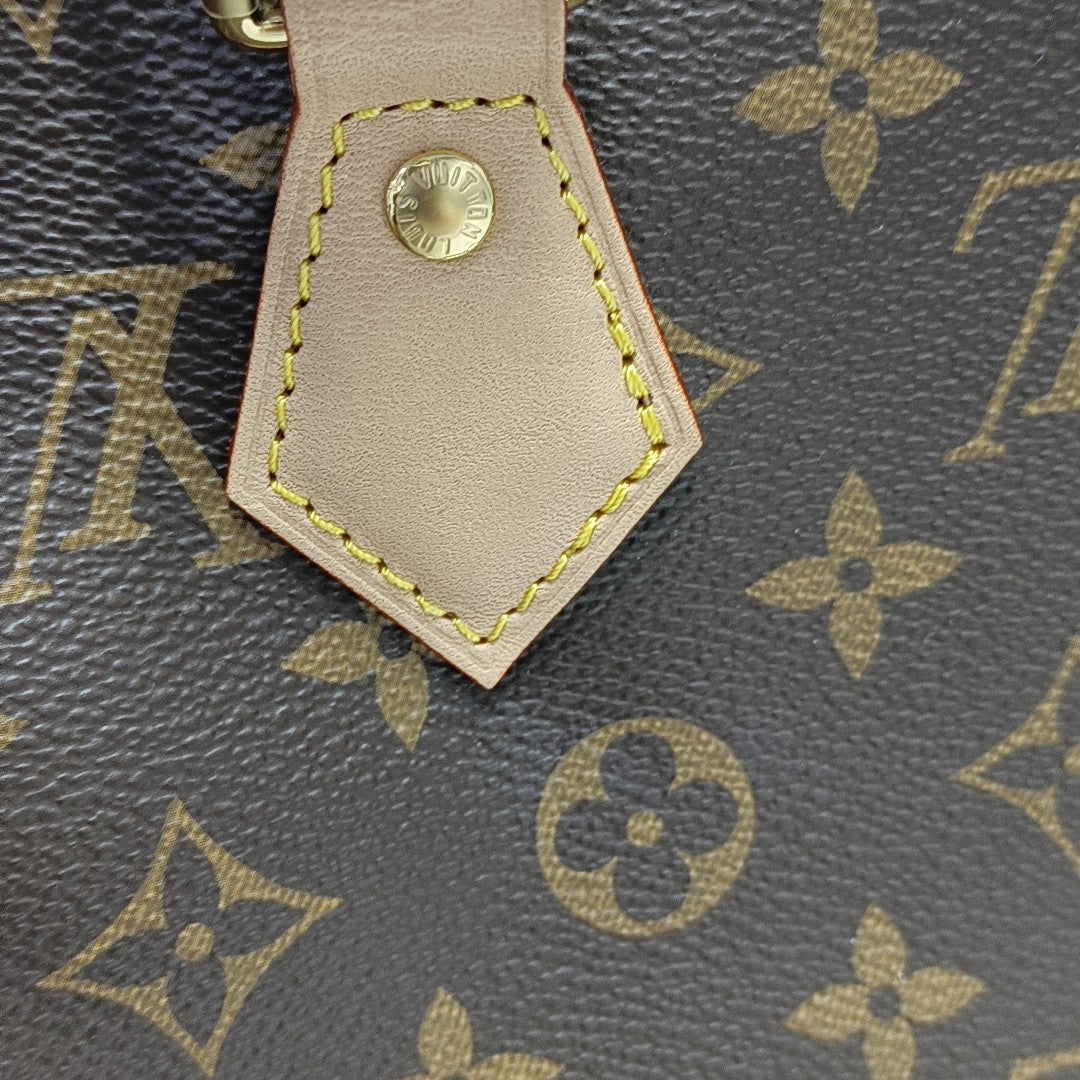 SPEEDY 25 Monogram Coated Canvas Brown