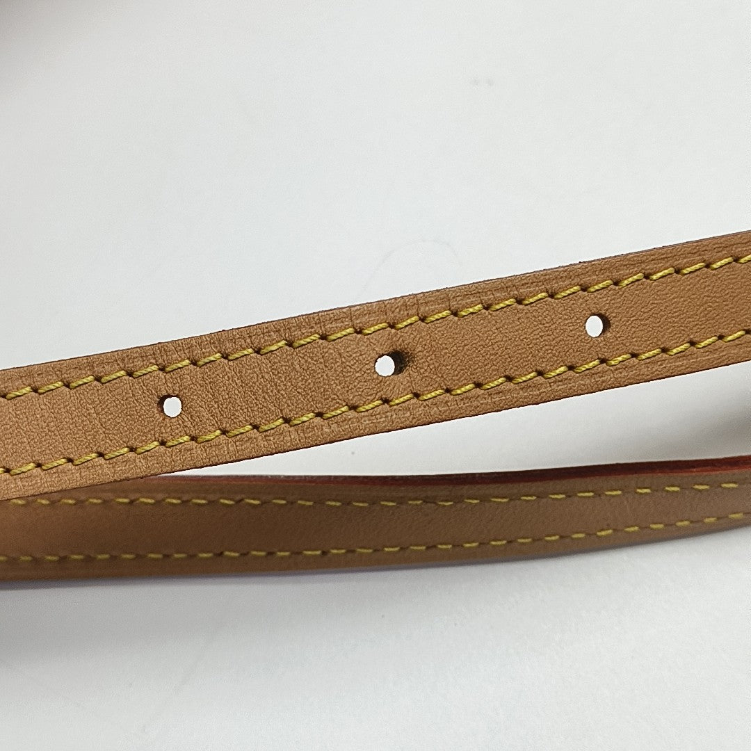 SPEEDY Nano Monogram Coated Canvas Brown