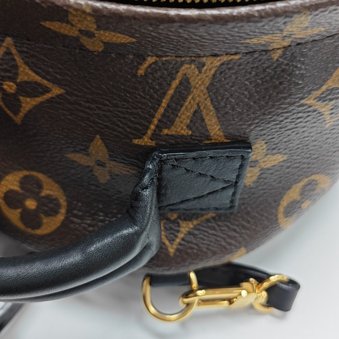 PALM SPRINGS Mini Monogram Coated Canvas Brown