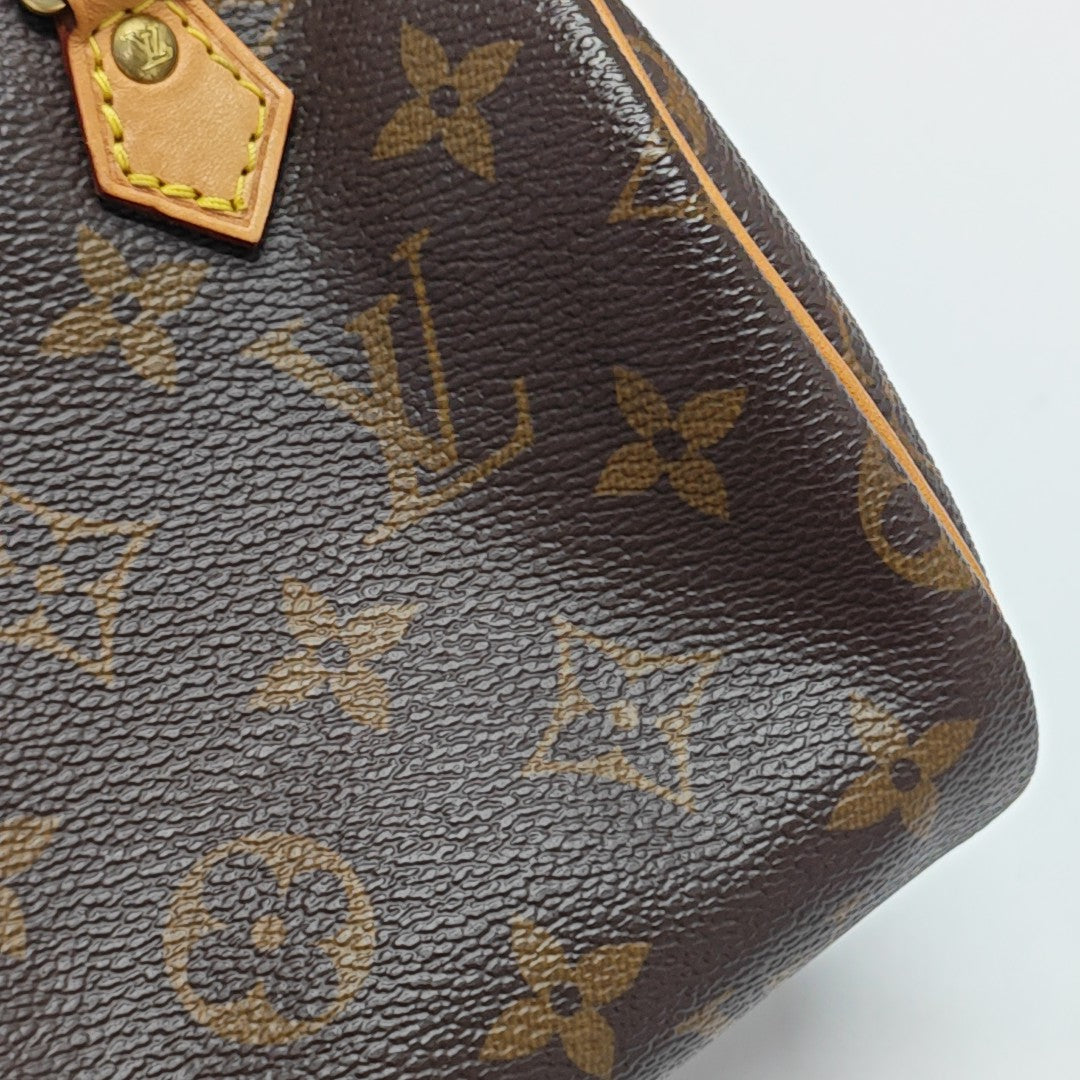 SPEEDY Nano Monogram Coated Canvas Brown