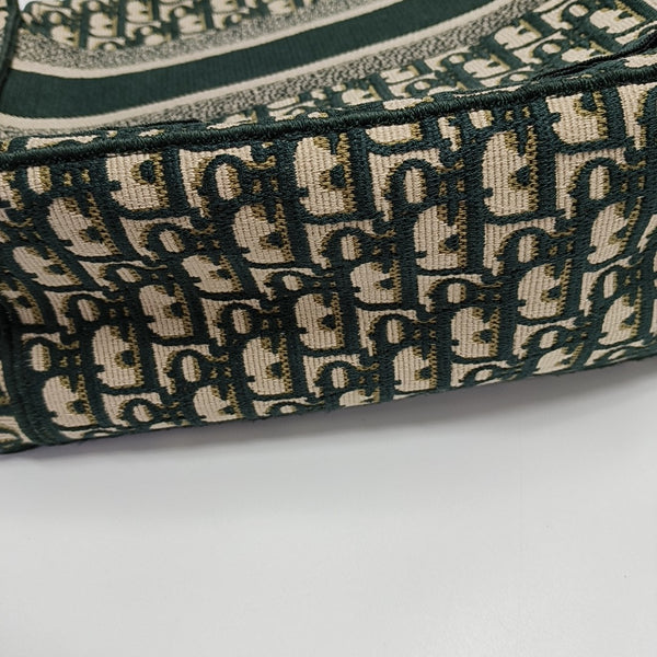 Diorcamp Large Canvas Green