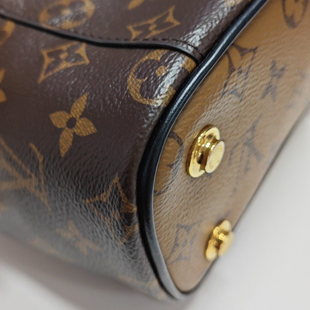 VANITY PM Monogram Coated Canvas Brown