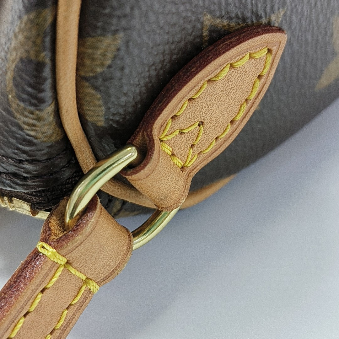 SPEEDY Nano Monogram Coated Canvas Brown