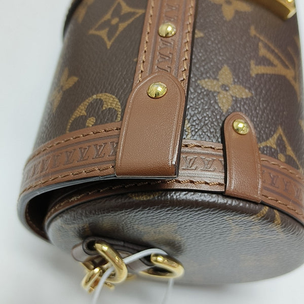 PAPILLON 19 Monogram Coated Canvas Brown