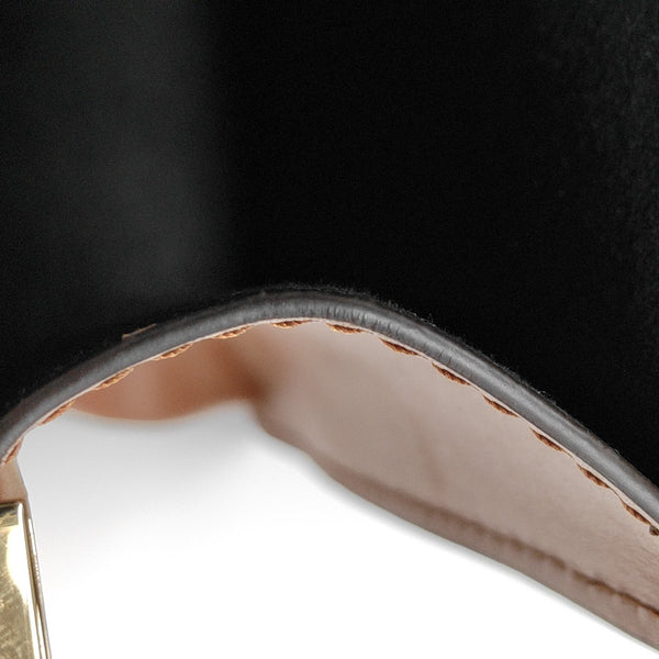 DAUPHINE Mini Monogram Coated Canvas Brown