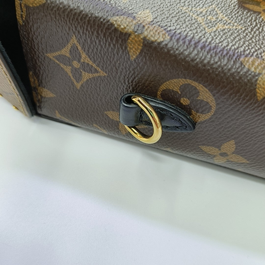 CAMERA BOX Monogram Coated Canvas Brown