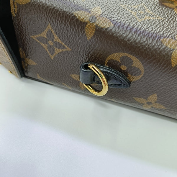 CAMERA BOX Monogram Coated Canvas Brown
