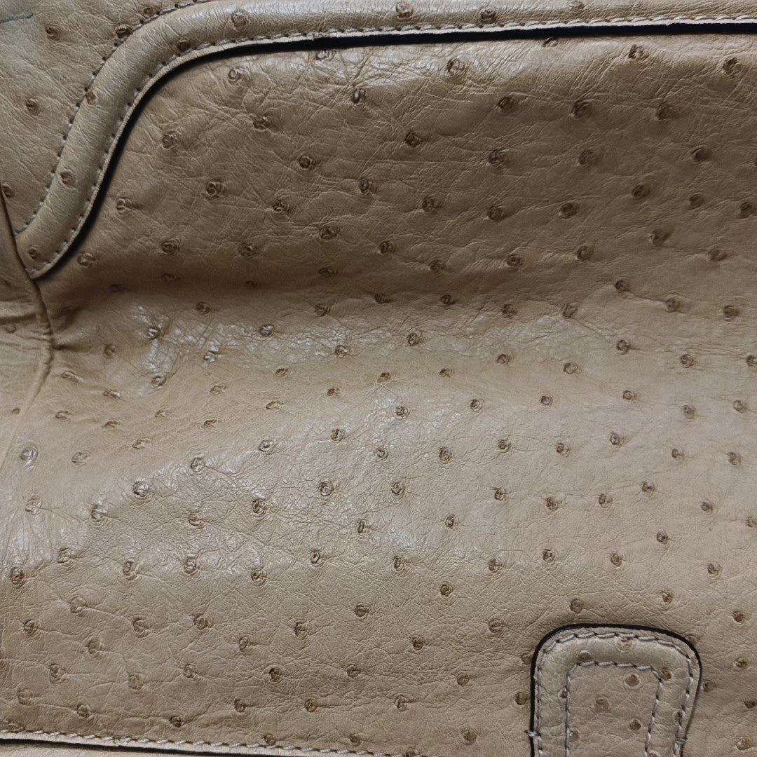 Ostrich Top Handle Bag Beige