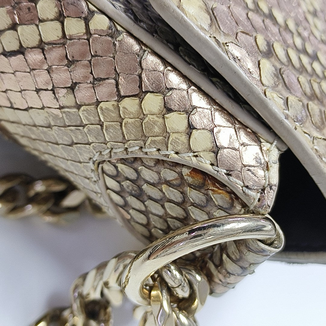 DIVAS' DREAM Python Multicolor