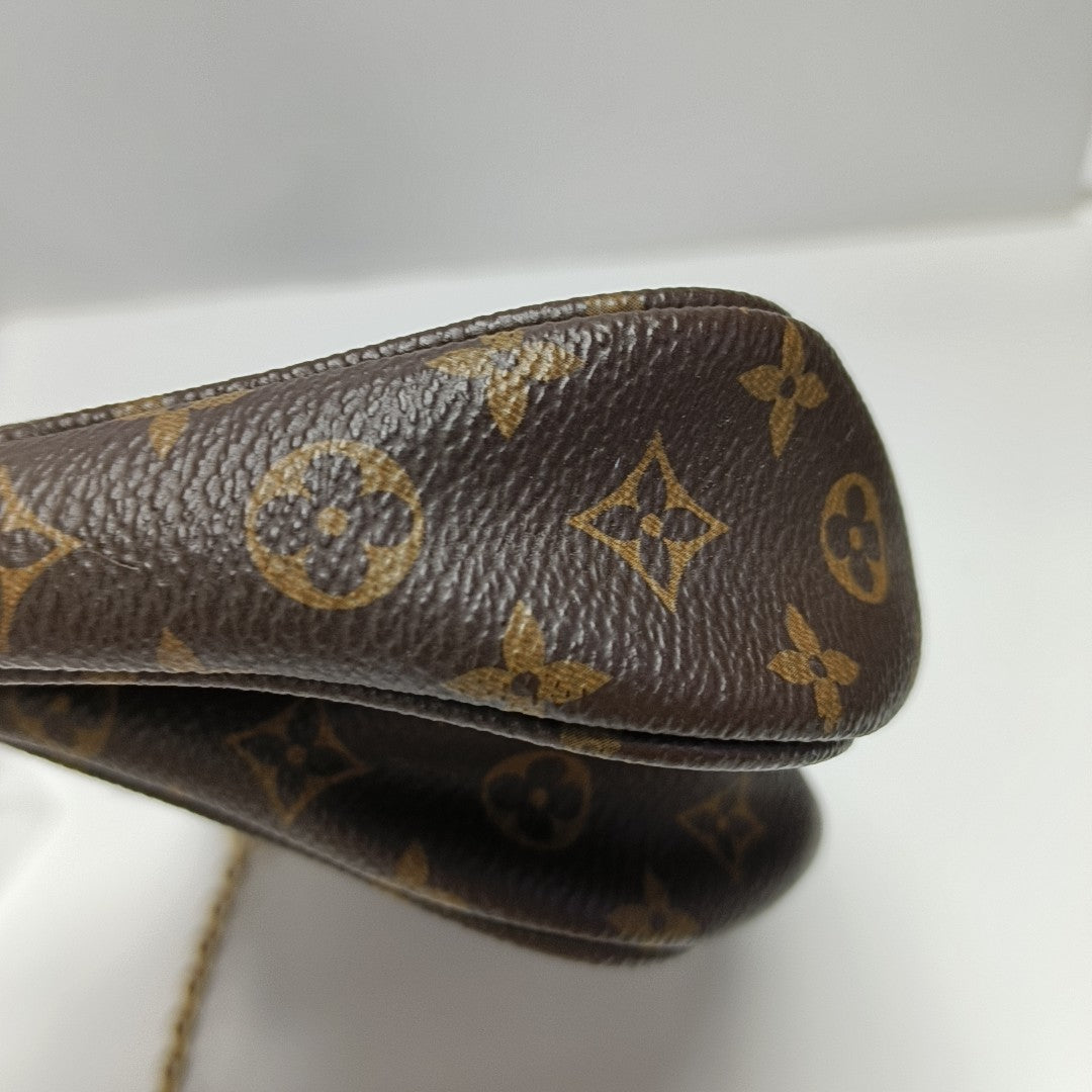 MULTI Monogram Coated Canvas Brown