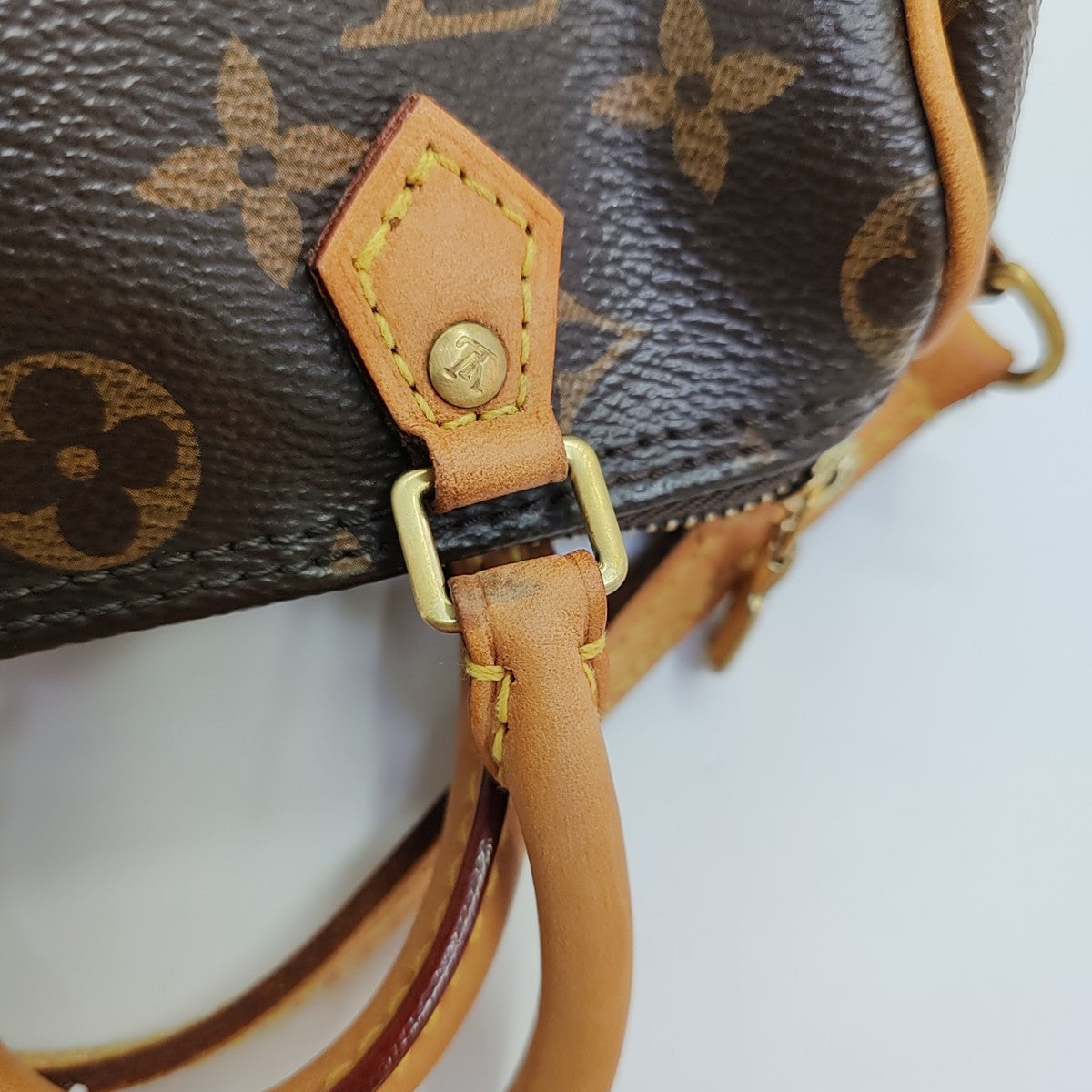 SPEEDY Nano Monogram Coated Canvas Brown