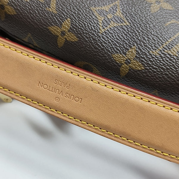 SIDE TRUNK PM Monogram Coated Canvas Brown