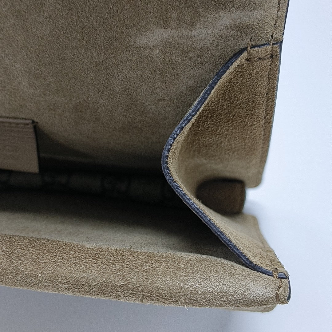 Dionysus Mini Monogram Coated Canvas Beige