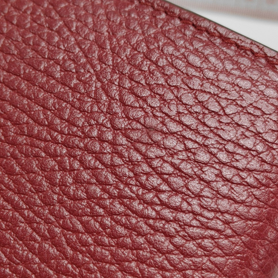 Dionysus Mini Calfskin Red