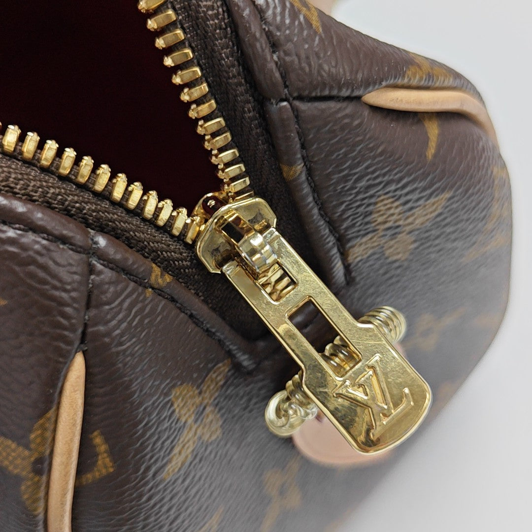 SPEEDY 20 Monogram Coated Canvas Brown