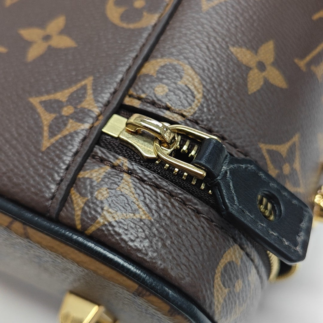VANITY PM Monogram Coated Canvas Brown