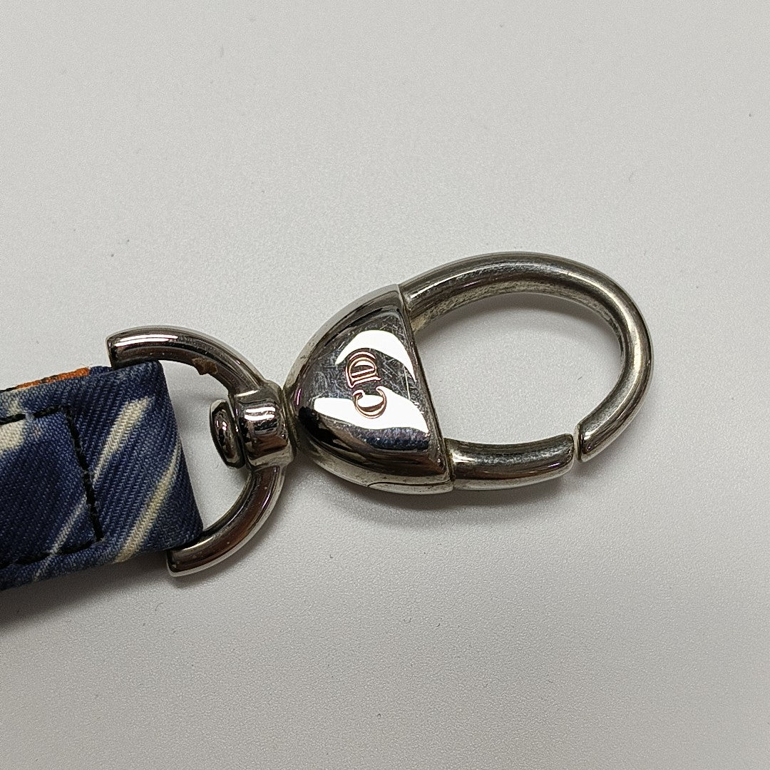 Lady Dior Large Canvas Multicolor