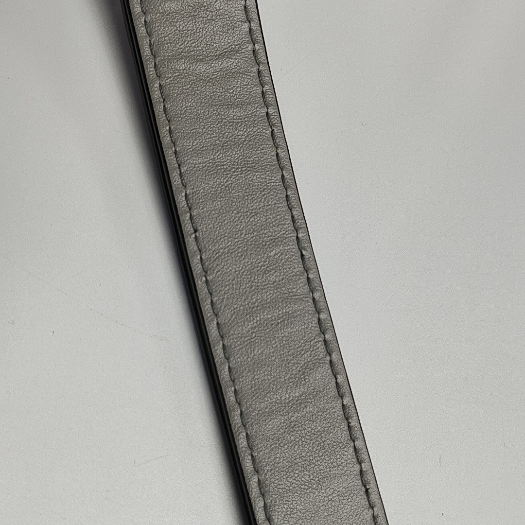 Daria Small Calfskin Gray