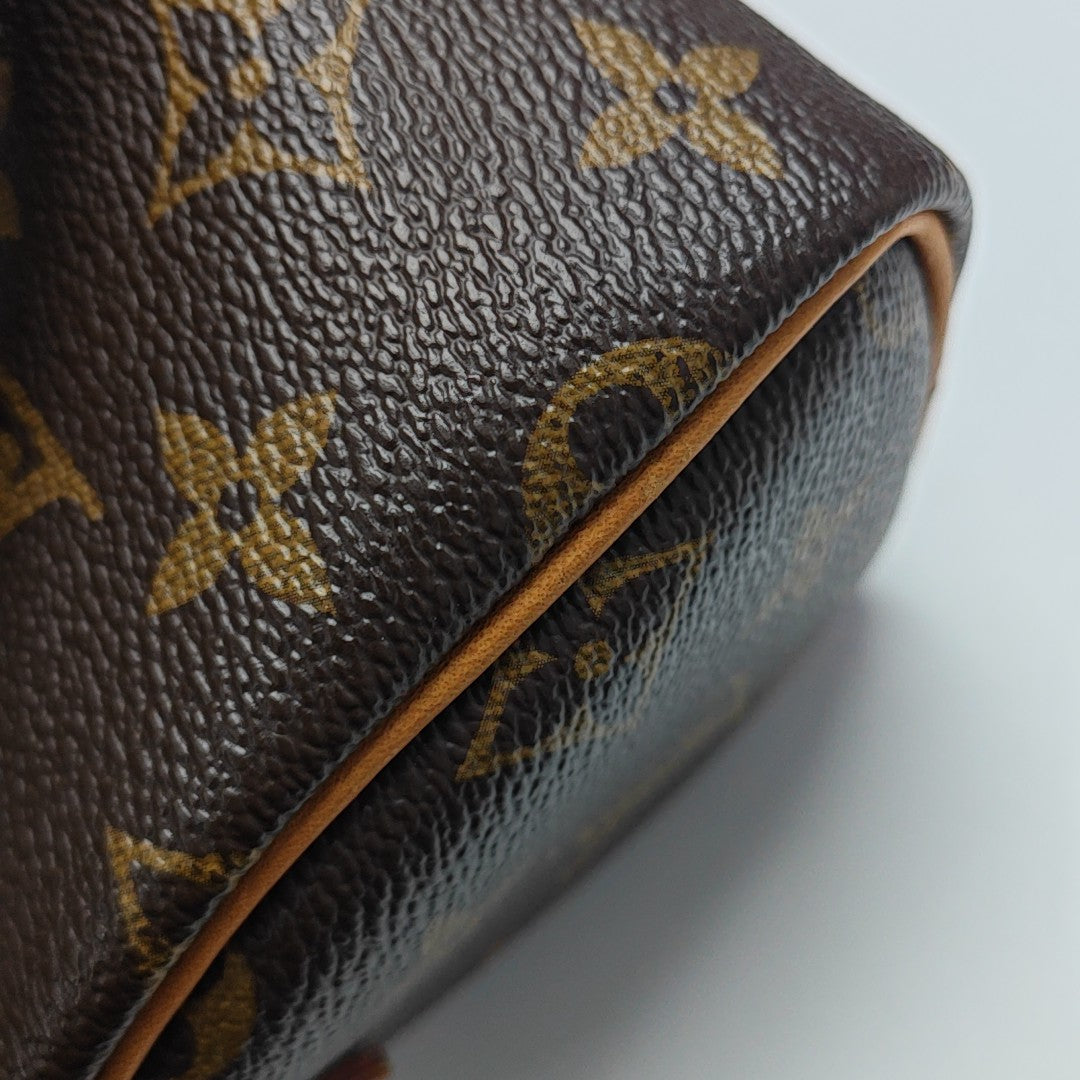 SPEEDY Nano Monogram Coated Canvas Brown