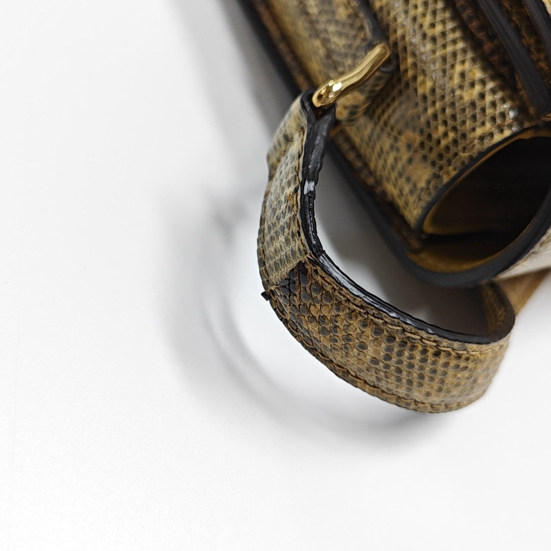 TRIOMPHE Small Lizard Brown