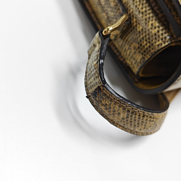 TRIOMPHE Small Lizard Brown