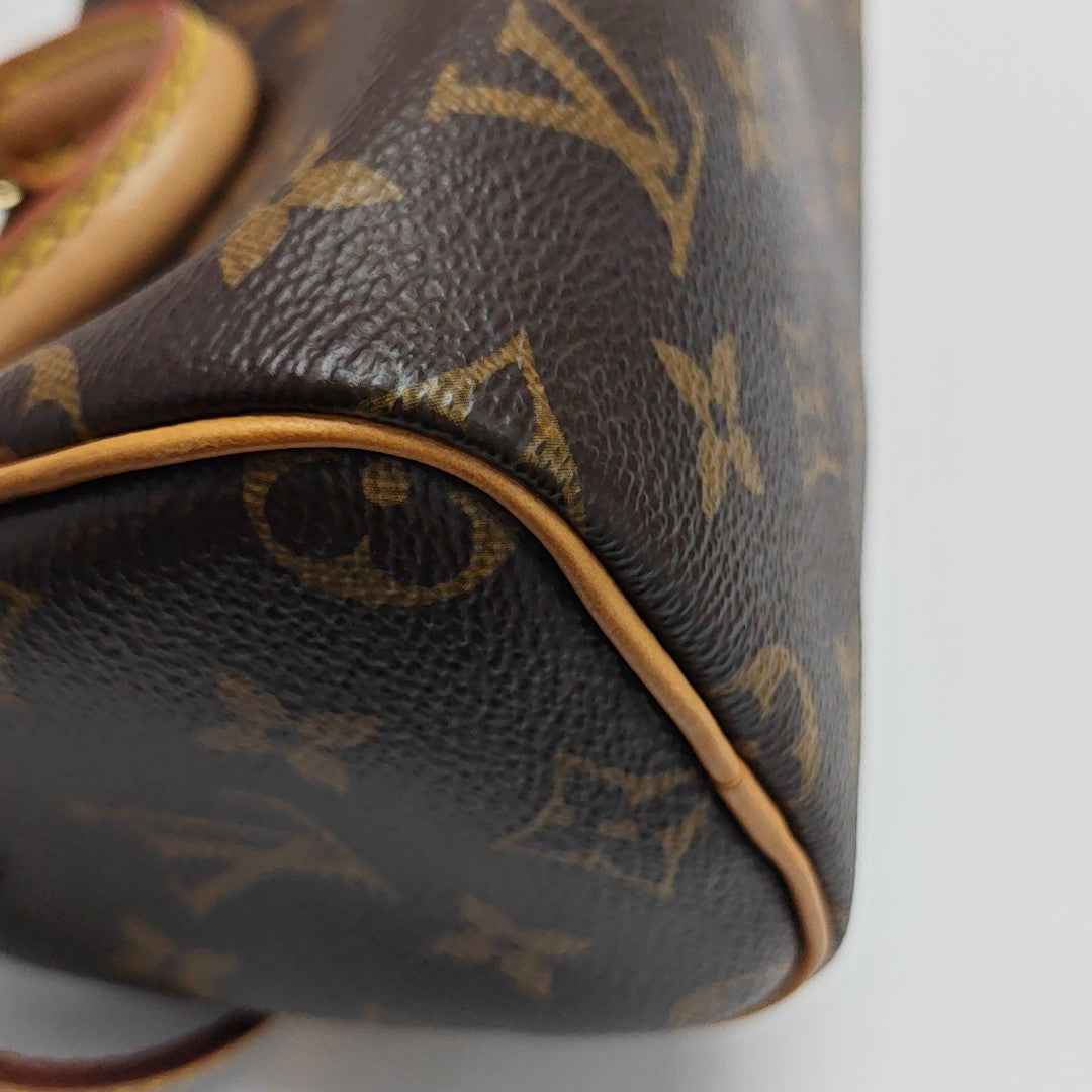 SPEEDY Nano Monogram Coated Canvas Brown