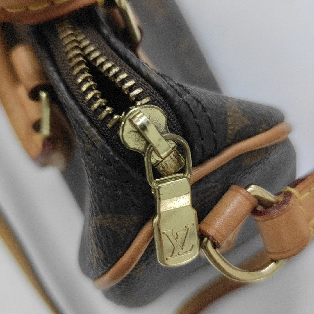 SPEEDY Nano Monogram Coated Canvas Brown