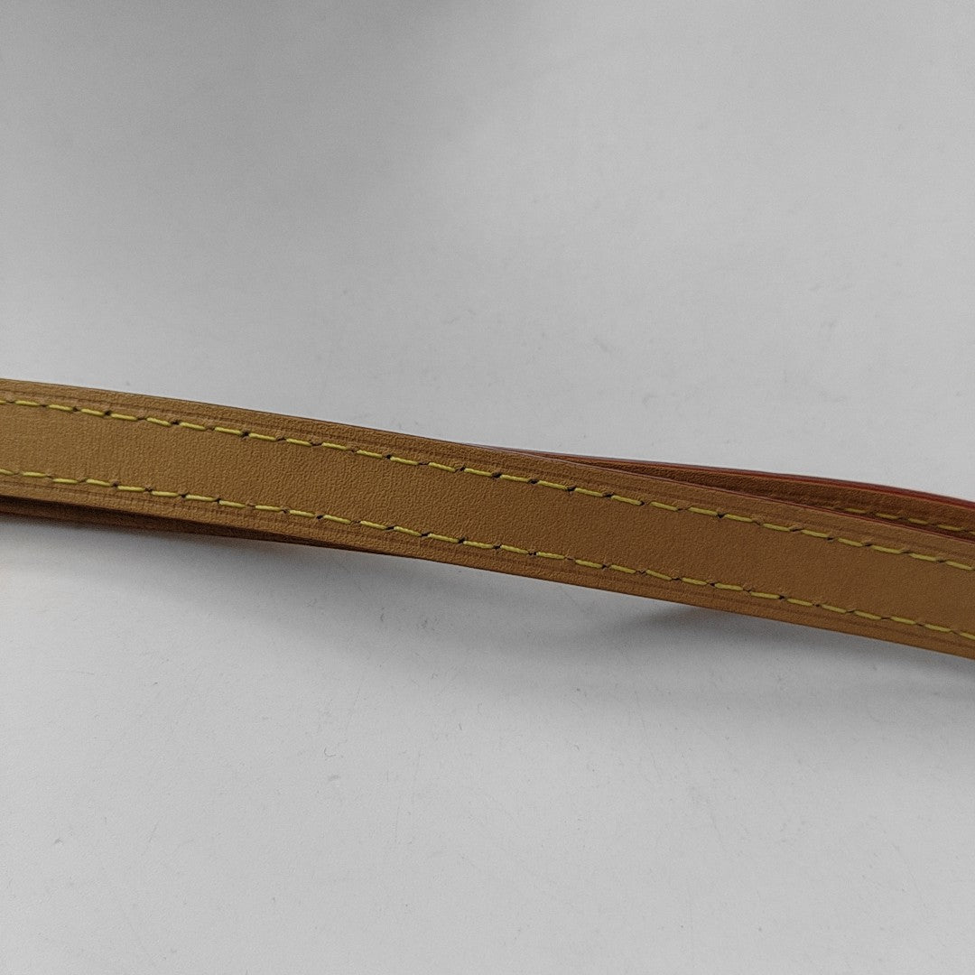 SIDE TRUNK PM Monogram Coated Canvas Brown