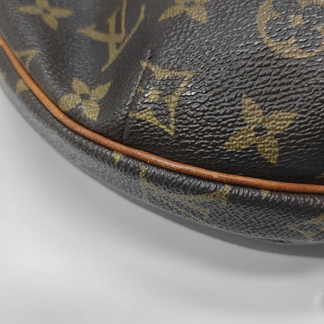 CROISSANT MM Monogram Coated Canvas Brown