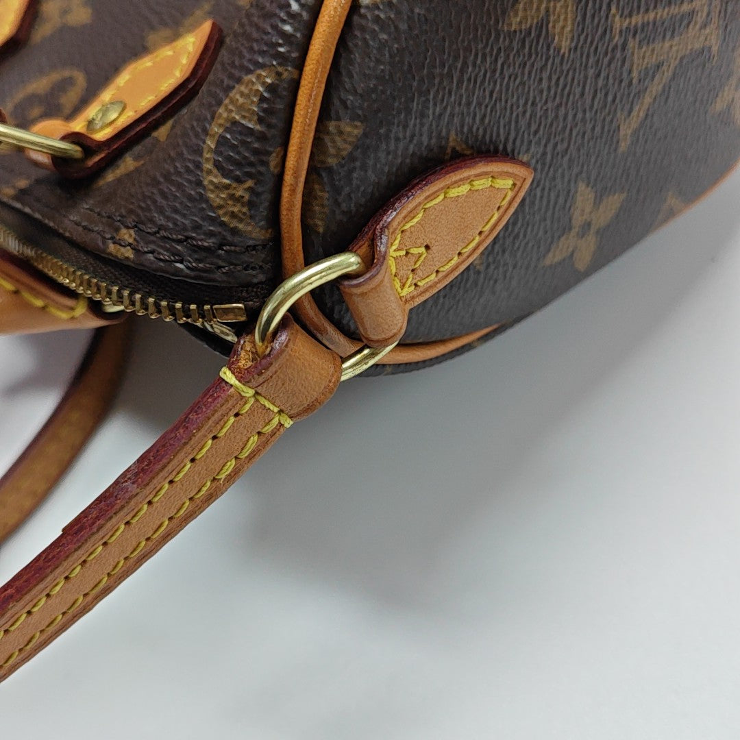 SPEEDY Nano Monogram Coated Canvas Brown