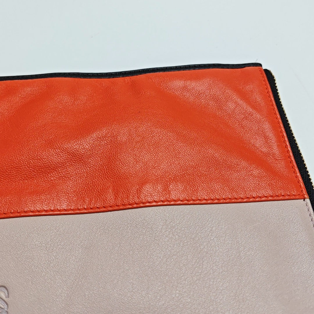 Calfskin Clutch Multicolor