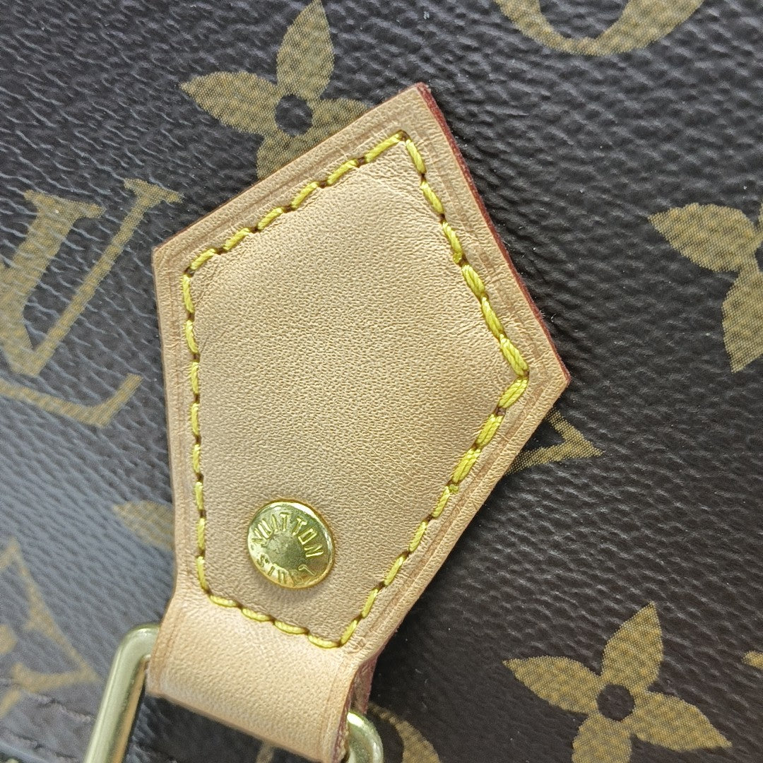 SPEEDY 25 Monogram Coated Canvas Brown
