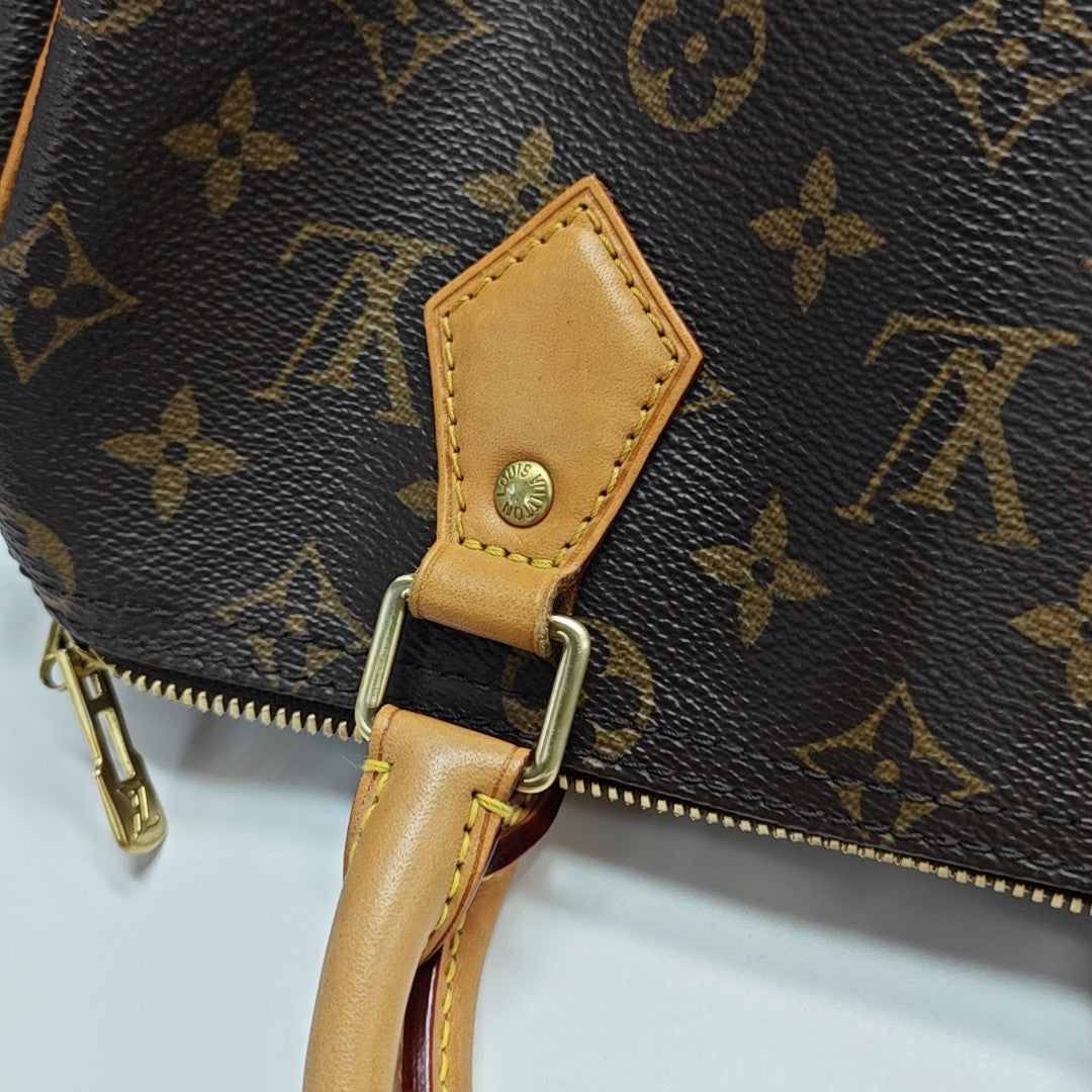 SPEEDY 25 Monogram Coated Canvas Brown