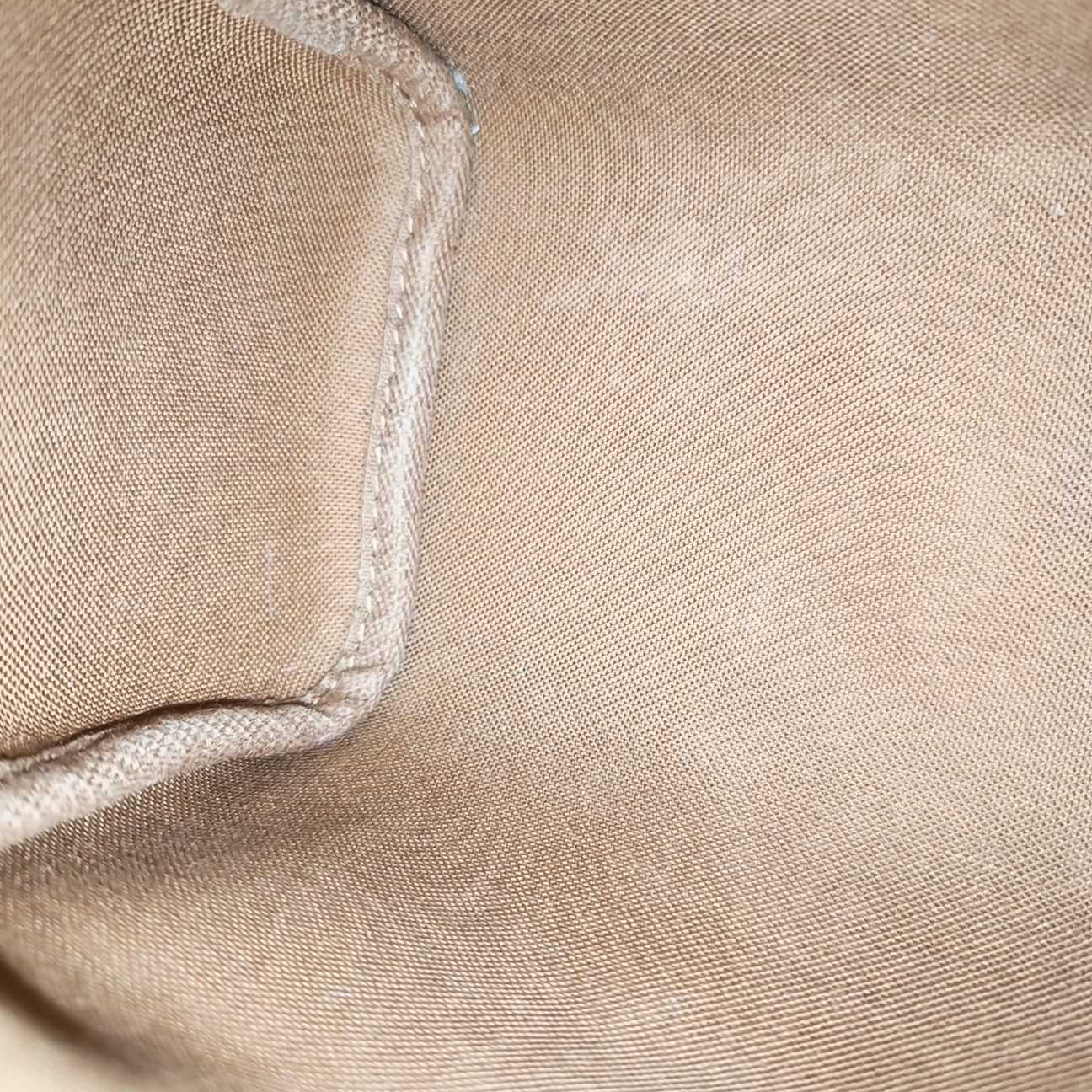 SPEEDY Nano Monogram Coated Canvas Brown