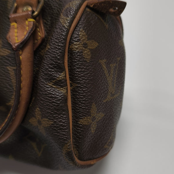 SPEEDY Nano Monogram Coated Canvas Brown