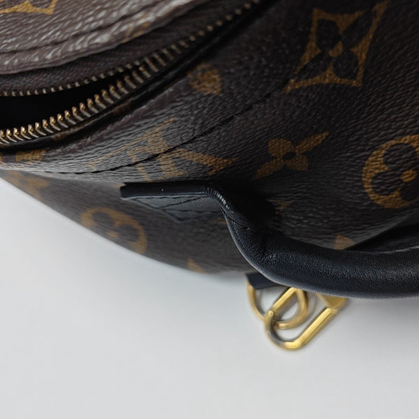 PALM SPRINGS Mini Monogram Coated Canvas Brown