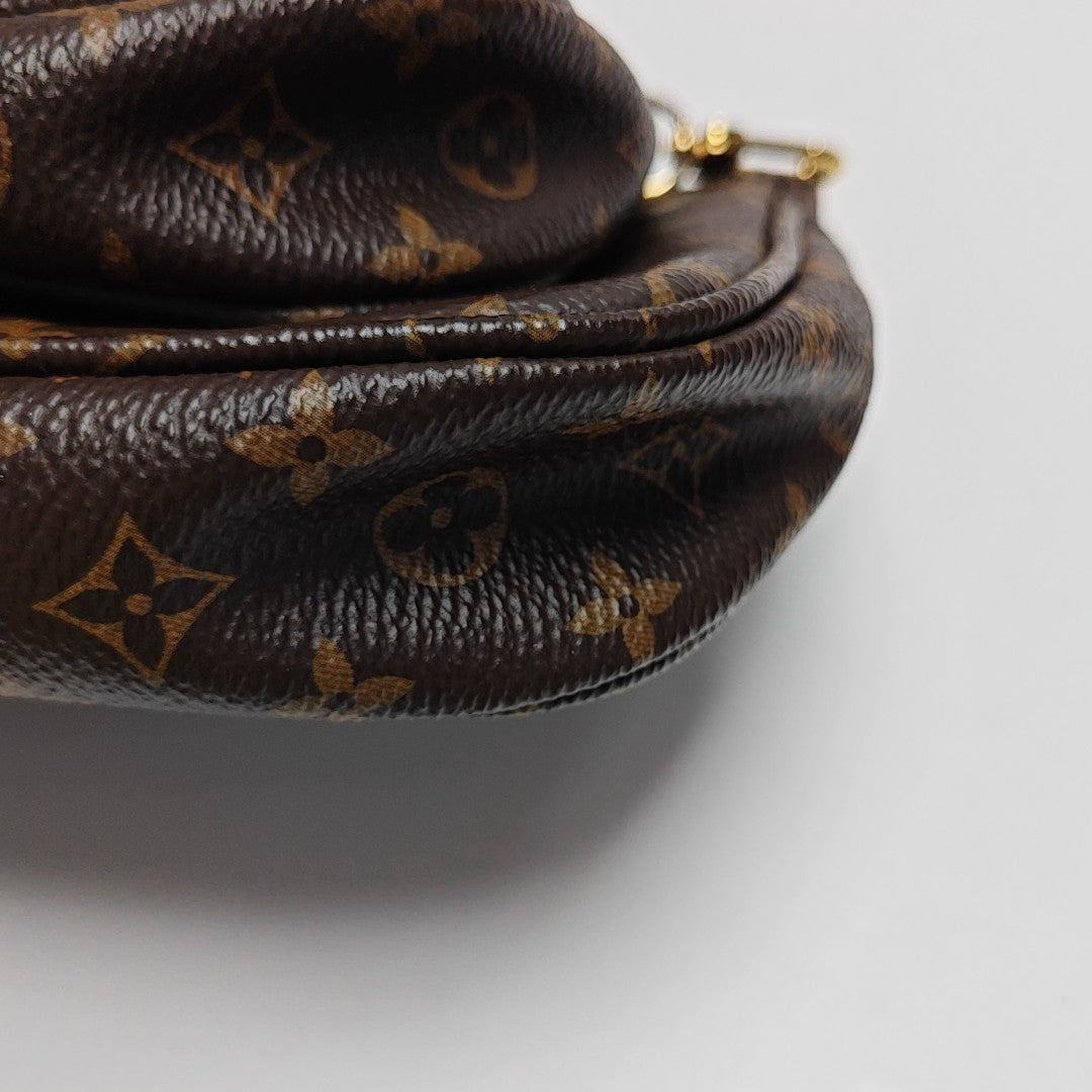 MULTI Monogram Coated Canvas Brown