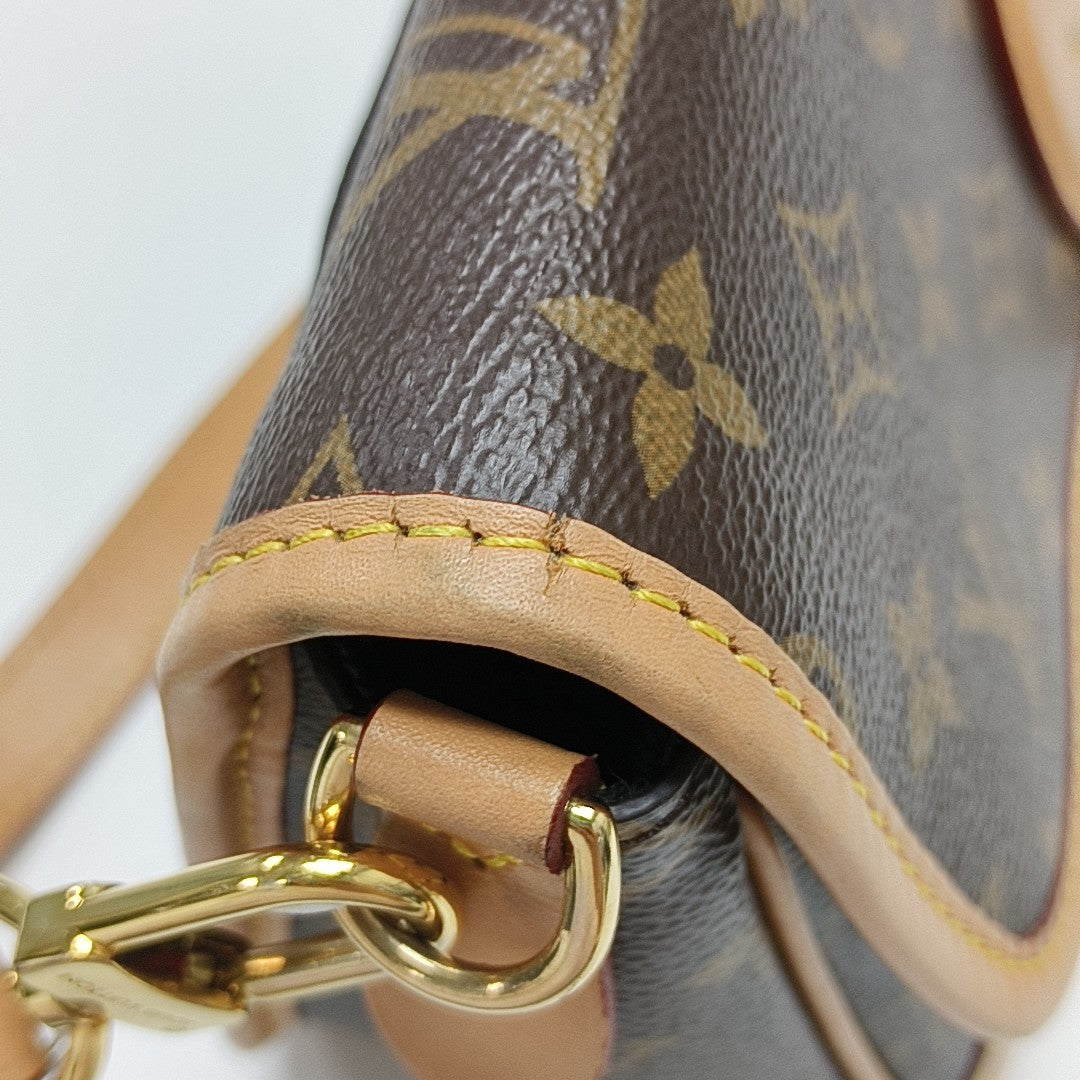 DIANE Monogram Coated Canvas Brown