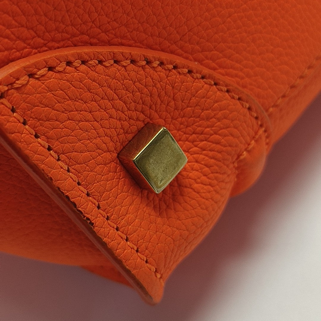 LUGGAGE Mini Calfskin Orange